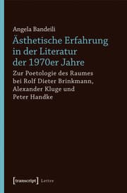 Cover von Ästhetische Erfahrung in der Literatur der 1970er Jahre