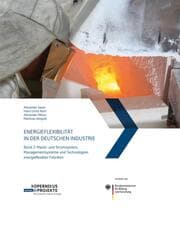 Cover von Energieflexibilität in der deutschen Industrie.