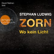 Cover von Zorn - Wo kein Licht