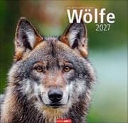 Cover von Wölfe 2027