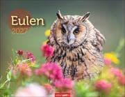 Cover von Eulen 2027