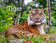 Cover von Tiger 2027