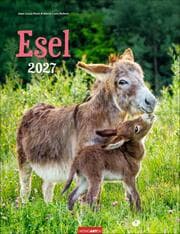 Cover von Esel K 2027