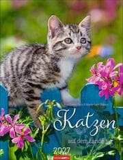 Cover von Katzen auf dem Lande 2027