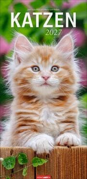 Cover von Katzen 2027
