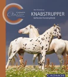 Cover von Knabstrupper
