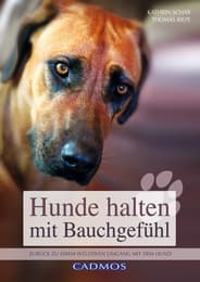 Cover von Hunde halten mit Bauchgefühl