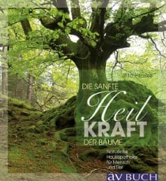 Cover von Sanft heilen mit der Kraft der Bäume