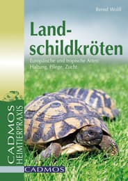 Cover von Landschildkröten