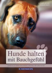 Cover von Hunde halten mit Bauchgefühl