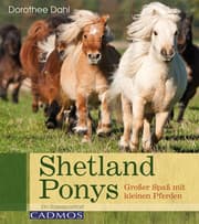 Cover von Shetlandponys