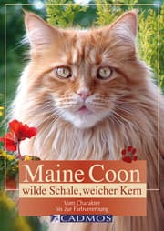 Cover von Maine Coon - Wilde Schale weicher Kern
