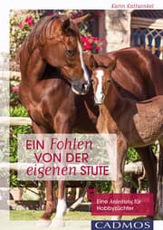 Cover von Ein Fohlen von der eigenen Stute