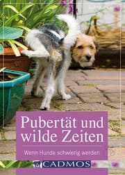 Cover von Pubertät und wilde Zeiten