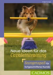 Cover von Neue Ideen für das Cavalettitraining