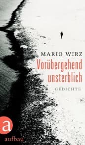 Cover von Vorübergehend unsterblich