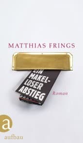 Cover von Ein makelloser Abstieg