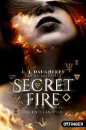 Cover von Secret Fire 1. Die Entflammten