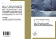 Cover von Chambre Réverbérante à Brassage de Modes étudiée par simulation