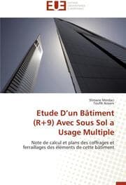 Cover von Etude Dun Bâtiment (R+9) Avec Sous Sol a Usage Multiple