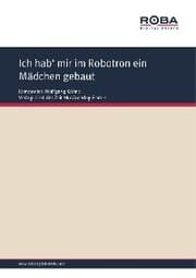 Cover von Ich hab' mir im Robotron ein Mädchen gebaut