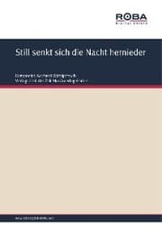 Cover von Still senkt sich die Nacht hernieder