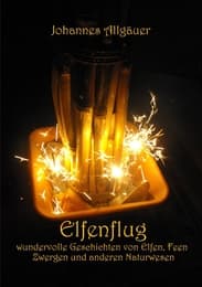 Cover von Elfenflug