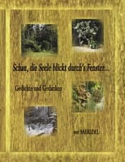 Cover von Schau, die Seele blickt durch's Fenster...