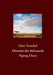 Cover von Diesseits der Sehnsucht