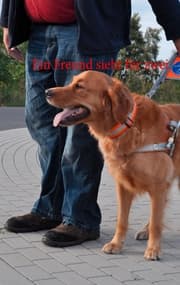 Cover von Ein Freund sieht für zwei
