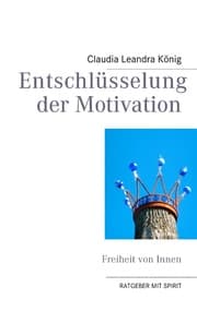 Cover von Entschlüsselung der Motivation