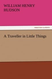 Cover von A Traveller in Little Things