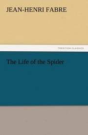 Cover von The Life of the Spider