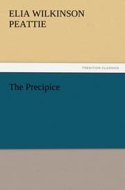 Cover von The Precipice