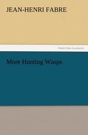 Cover von More Hunting Wasps