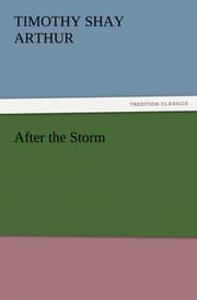 Cover von After the Storm