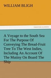 Cover von A Voyage to the South Sea For The Purpose Of Conveying The Bread-Fruit Tree To The West Indies, Including An Account Of The Mutiny On Board The Ship
