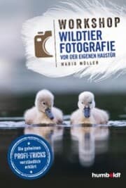 Cover von Workshop Wildtierfotografie vor der eigenen Haustür