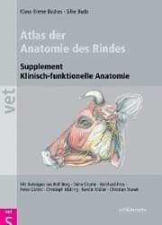 Cover von Atlas der Anatomie des Rindes
