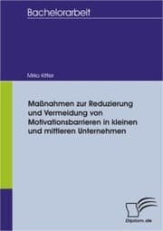 Cover von Maßnahmen zur Reduzierung und Vermeidung von Motivationsbarrieren in kleinen und mittleren Unternehmen