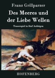Cover von Des Meeres und der Liebe Wellen