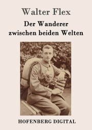 Cover von Der Wanderer zwischen beiden Welten