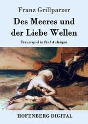Cover von Des Meeres und der Liebe Wellen