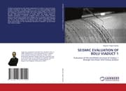 Cover von SEISMIC EVALUATION OF BOLU VIADUCT 1