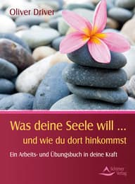 Cover von Was deine Seele will...und wie du dort hinkommst
