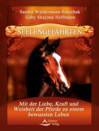 Cover von Seelengefährten