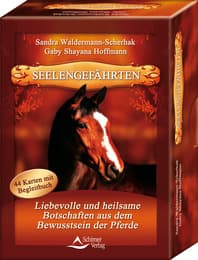 Cover von Seelengefährten