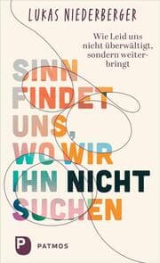 Cover von Sinn findet uns, wo wir ihn nicht suchen