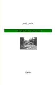 Cover von In Mobutus Diensten