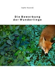 Cover von Die Bewerbung der Wunderlinge